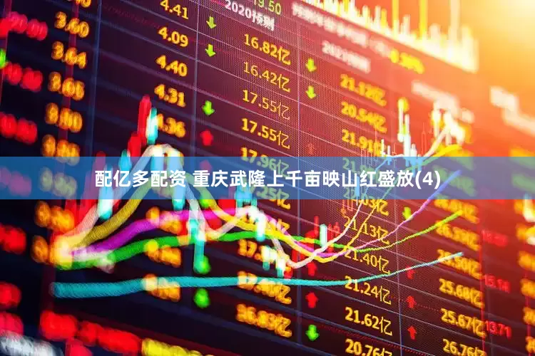 配亿多配资 重庆武隆上千亩映山红盛放(4)